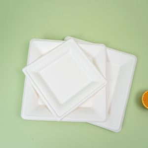 Square Bagasse Plates - Heavy-Duty, Elegant Disposable Plates