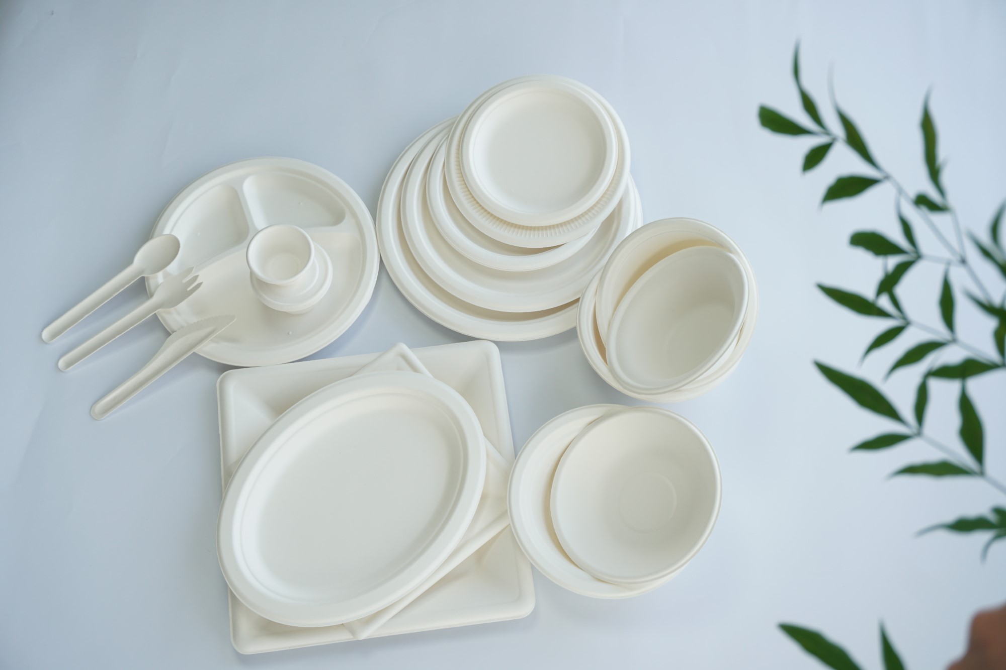 Plant-based Round Plate