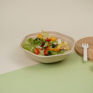 Wholesale Bagasse Salad Bowls – Compostable Disposable Containers for B2B Supply