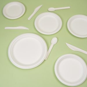 Plant-Based Round Bagasse Plates - Biodegradable Sugarcane Pulp Plates