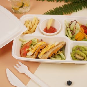 Bagasse Lunch Trays - Perfect for Restaurants, Cafeterias, and Canteens