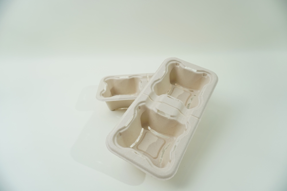 The Production Process of Pulp Molding - InNaturePack