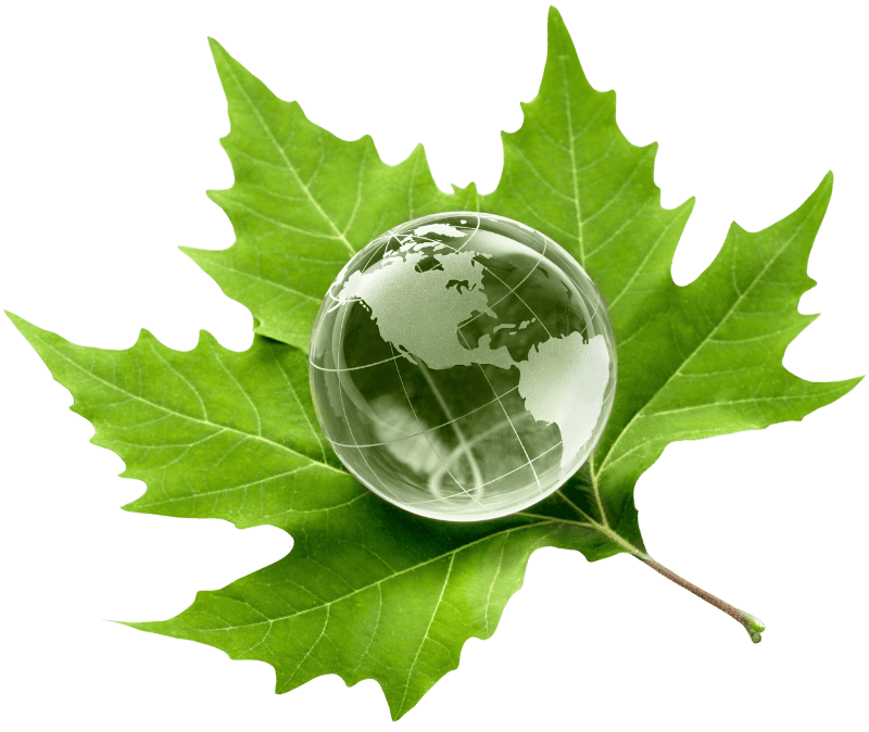earth