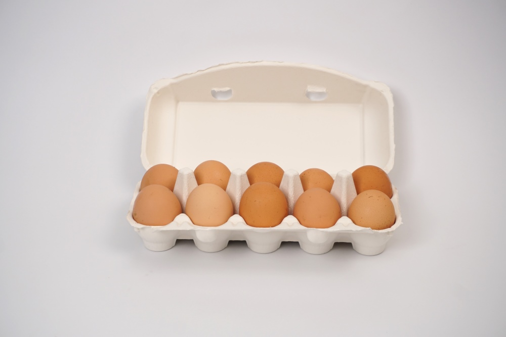 egg-carrier