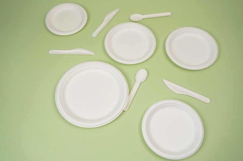 pulp-plate