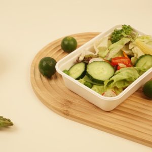 Bagasse Bento Containers – Disposable Bento Box with Lid