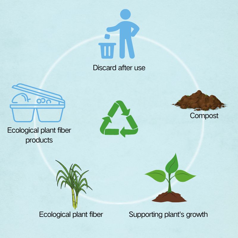 Pulp Molded Products,eco-friendly