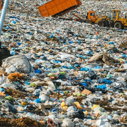 Pulp Molded Products,eco-friendly