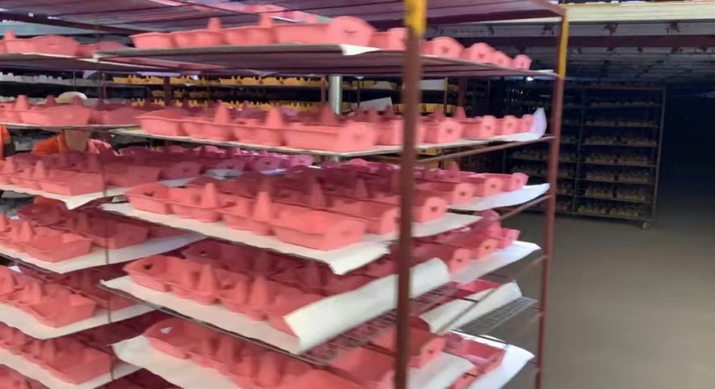 pulp molded egg cartons in drying