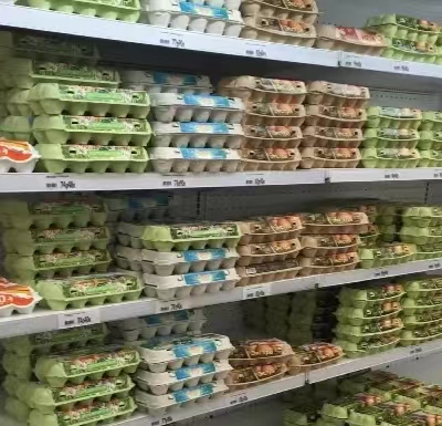 pulp molded egg cartons on shelves