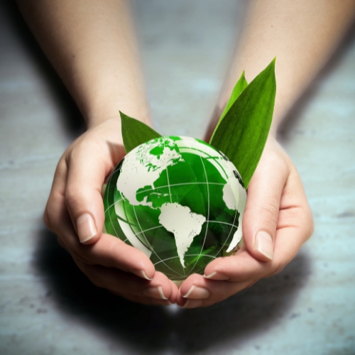 protect the earth(2)