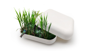 pulp molded packaging