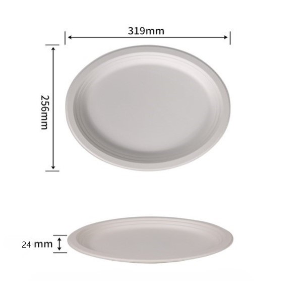 10 inch bagasse oval plates