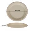 10 inch bagasse round plate