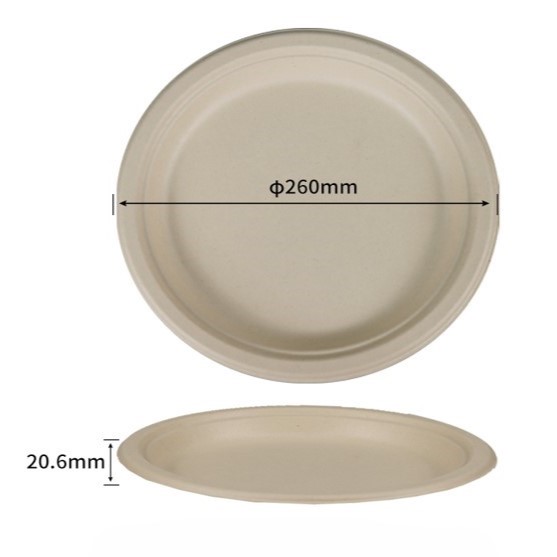 10 inch bagasse round plate