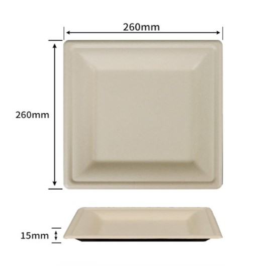 10 inch bagasse square plates