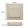 6 inch bagasse square plates