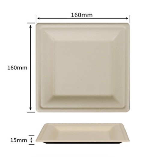 6 inch bagasse square plates