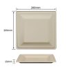 8 inch bagasse square plates