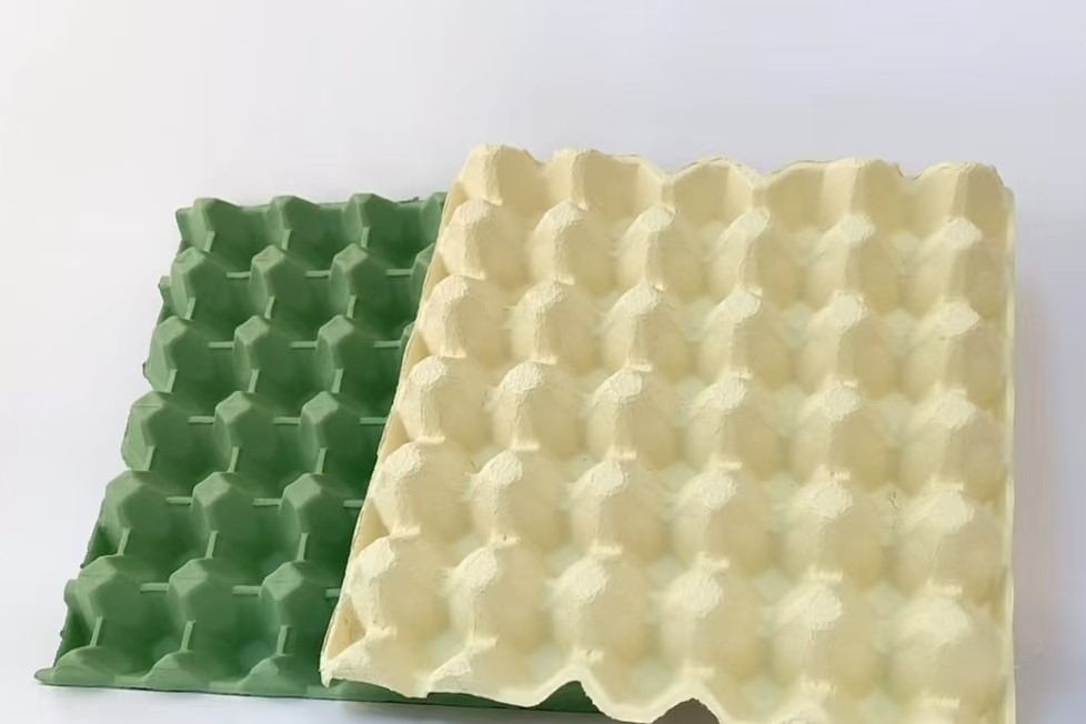egg tray 30 pcs | durable egg flats for wholesale buyers