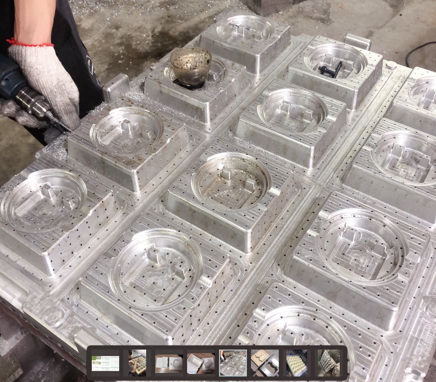 mold