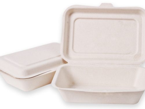 bagasse clamshell