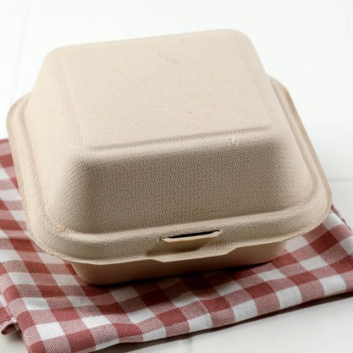 bagasse takeout container