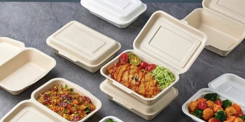 disposable packaging