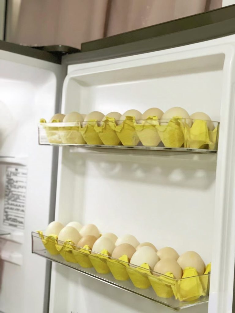 refrigerator egg storage 1