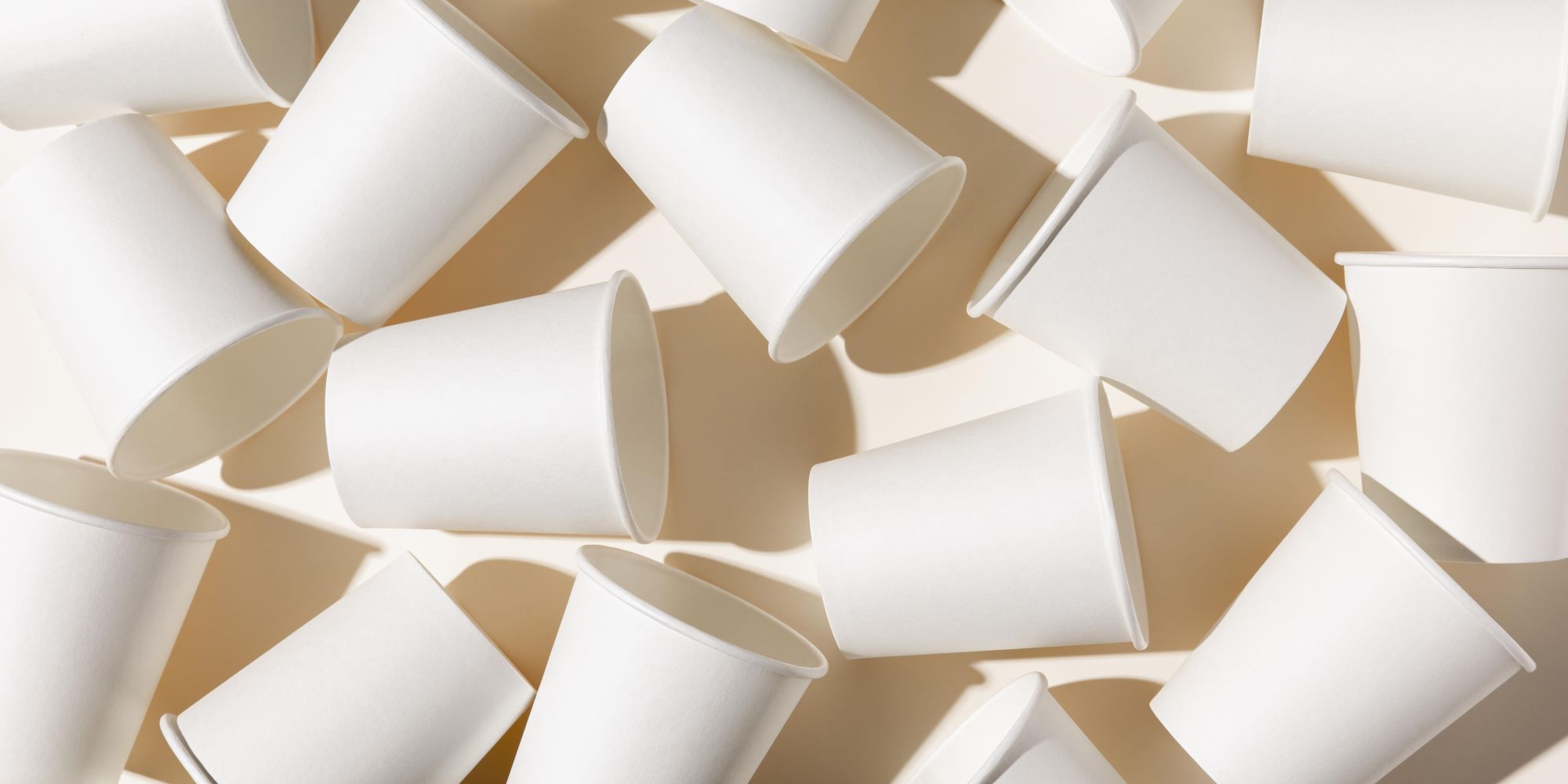 eco friendly cups flat lay