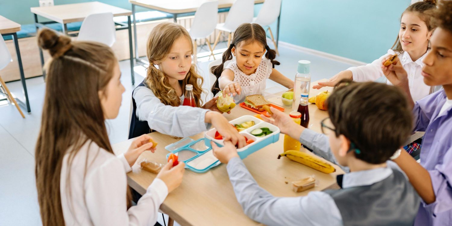 school lunch