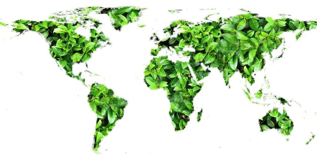 environmental impacts