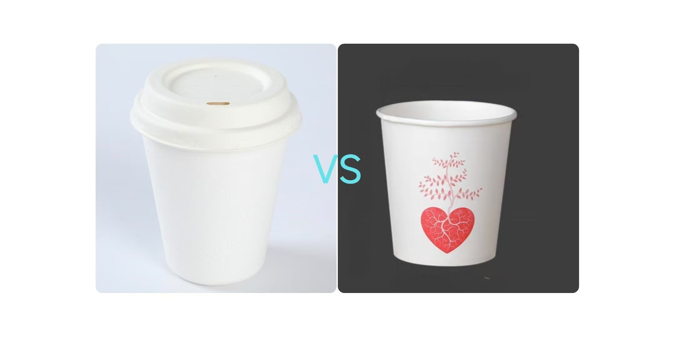 bagasse cup vs paper cup
