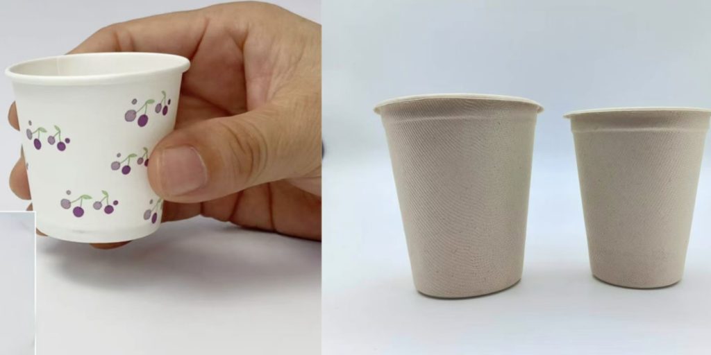 What's the Diference Between Paper Cups and Bagasse Cups? - InNaturePack