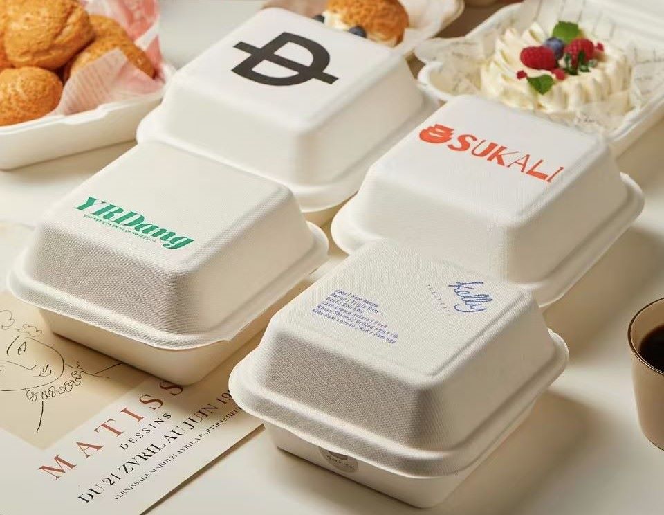 sufarcane containers customizable designs