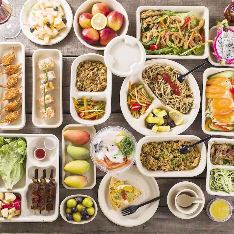 sugarcane bagasse food containers