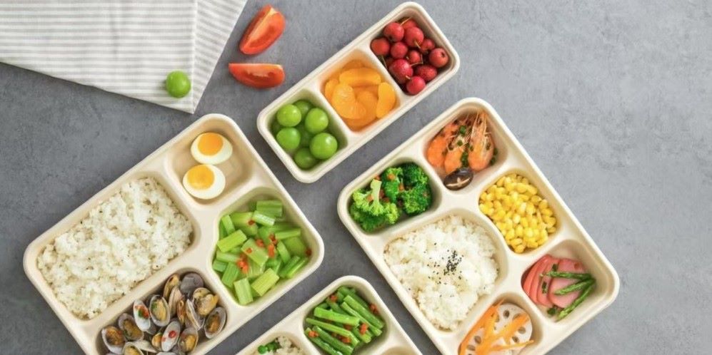 sugarcane food container