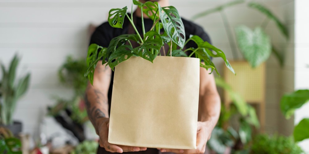 why go green with packaging