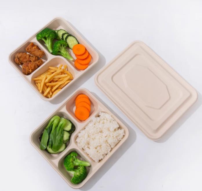 bagasse takeaway package