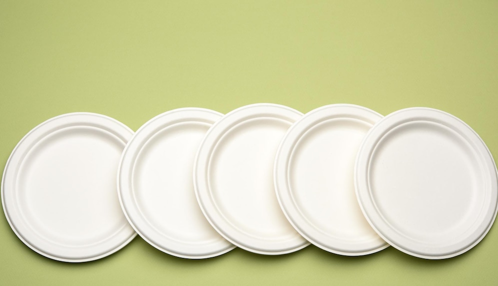 empty white bagasse disposable plates