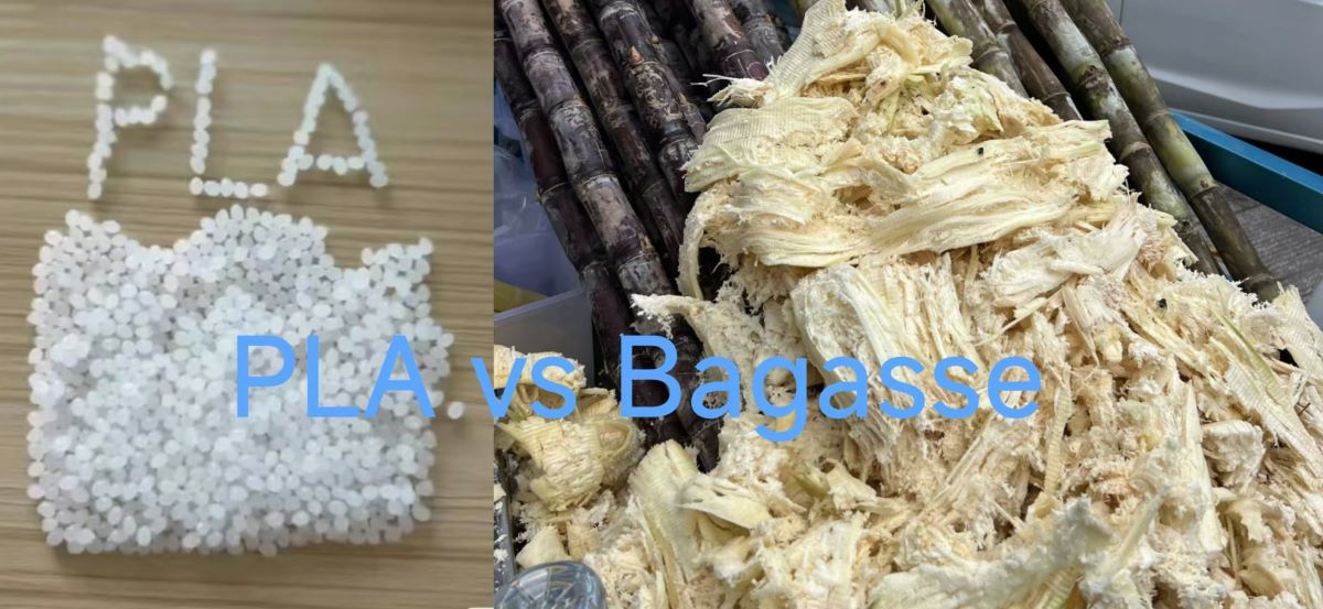 pla vs bagasse