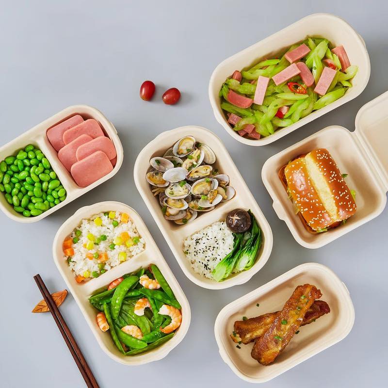 bagasse deli container