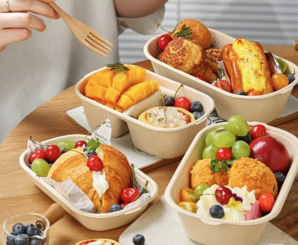 use bagasse container