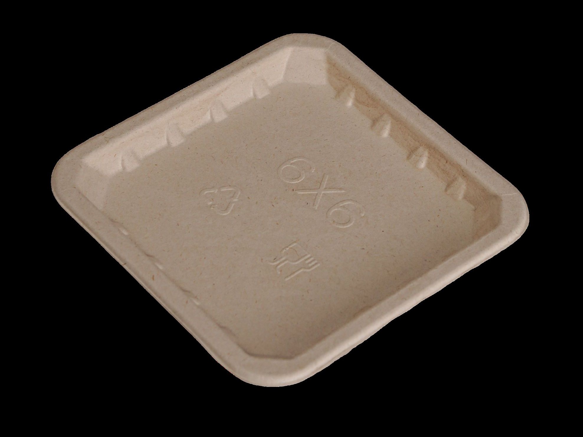 bagasse produce trays – for meat, fruit & vegetable packaging