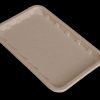 bagasse produce trays – for meat, fruit & vegetable packaging