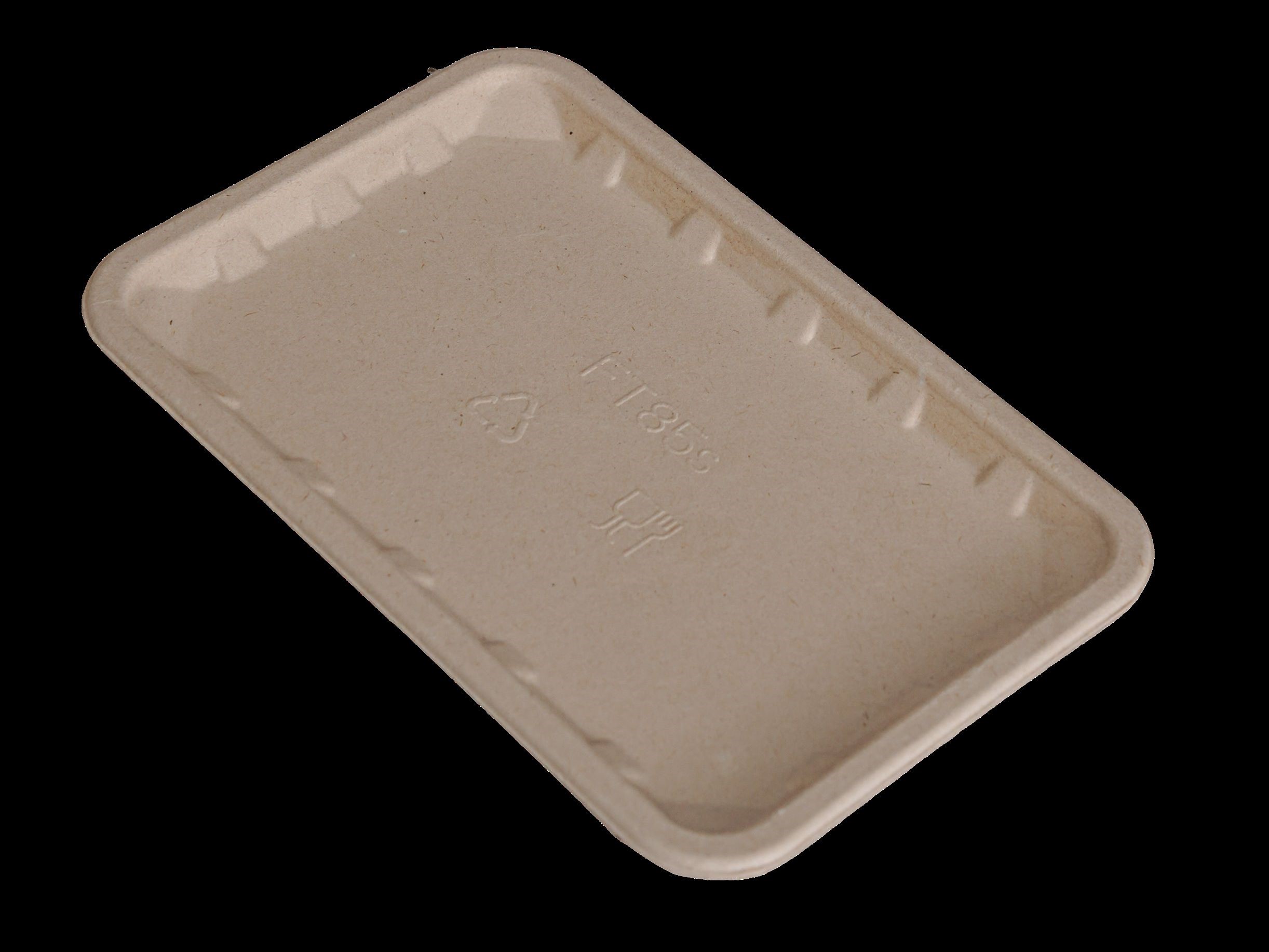 bagasse produce trays – for meat, fruit & vegetable packaging