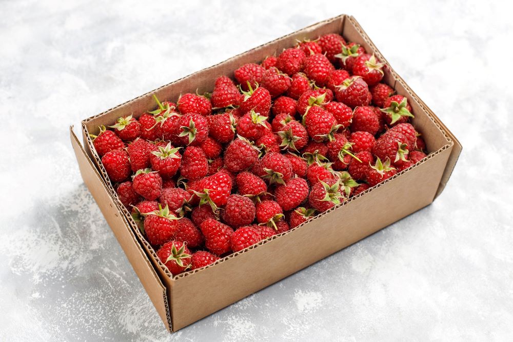 corrugated cardboard containers foe berries