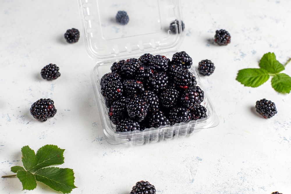 plastic clamshells for berries