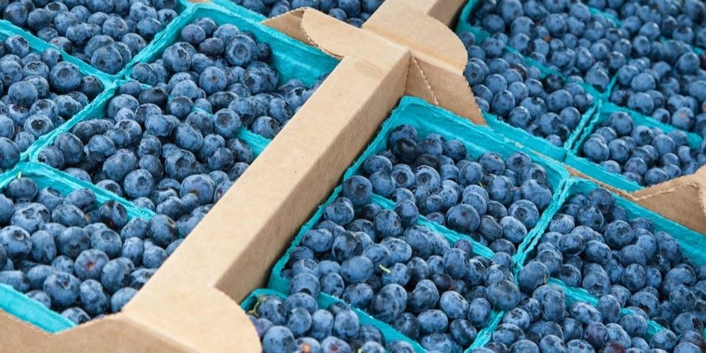 why choose compostable pulp berry baskets