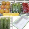 bagasse produce trays – for meat, fruit & vegetable packaging
